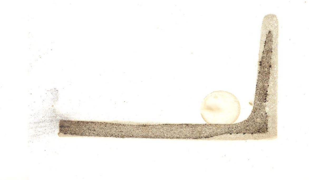 Baumann